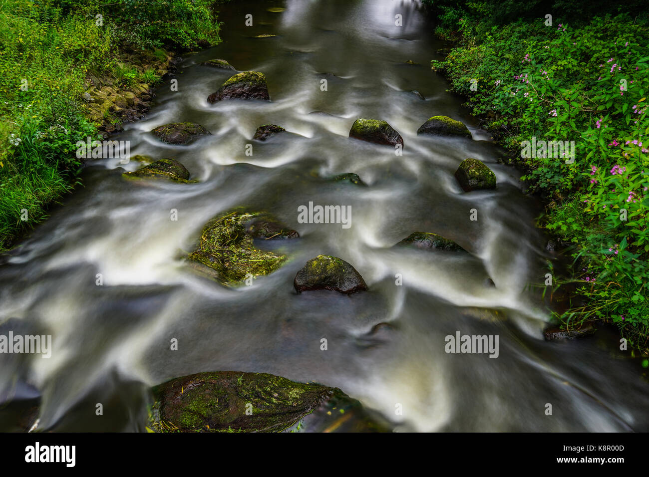 Il fiume selvaggio in Germania Foto Stock