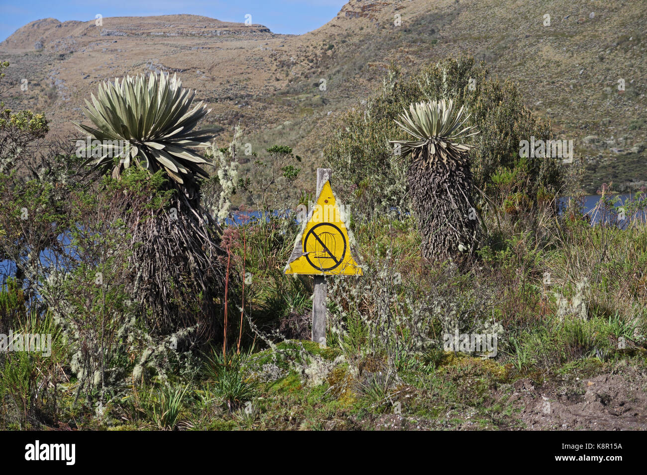 Segno indicante che è illegale per intrappolare gli uccelli sumapaz national park, Bogotà, Colombia novembre Foto Stock