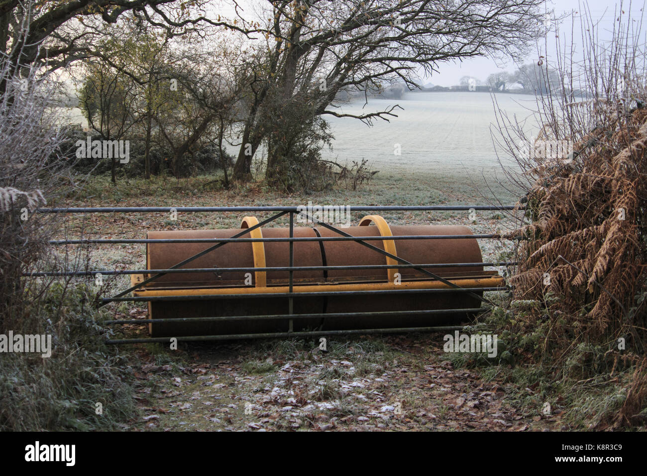 Rullo agricolo utilizzato per impedire che il veicolo accesso al campo, tolpuddle, Dorset, England, Regno Unito, dicembre Foto Stock