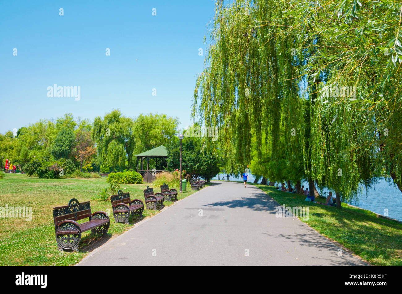 Parcul Herastrau, parco, Bucarest, Romania Foto Stock