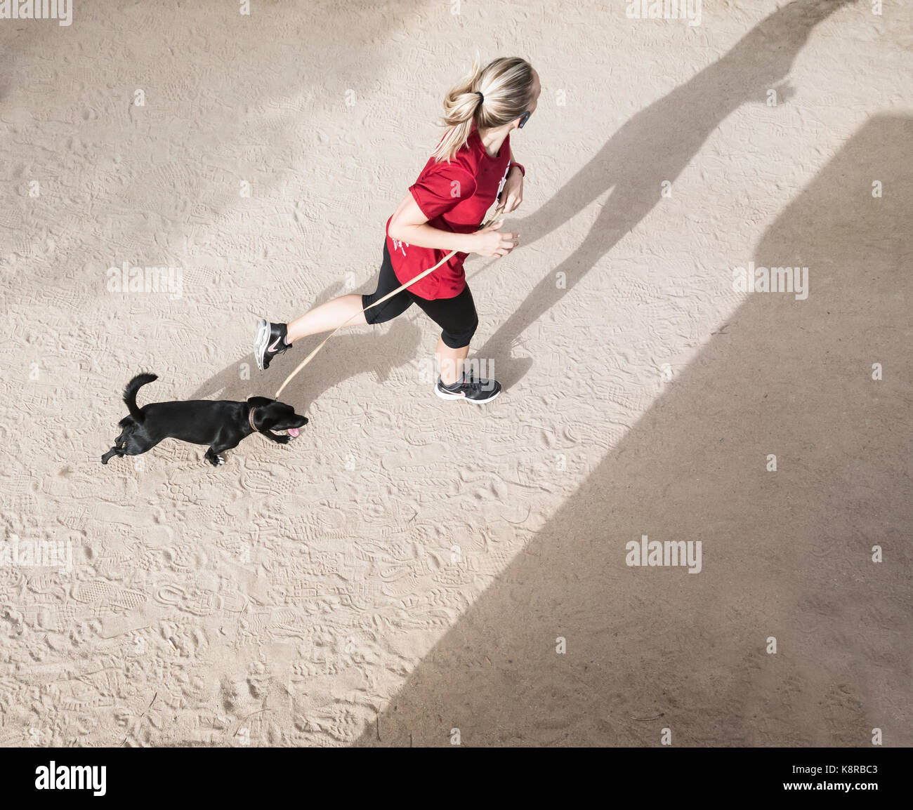 Giovane donna jogging con cani. Foto Stock