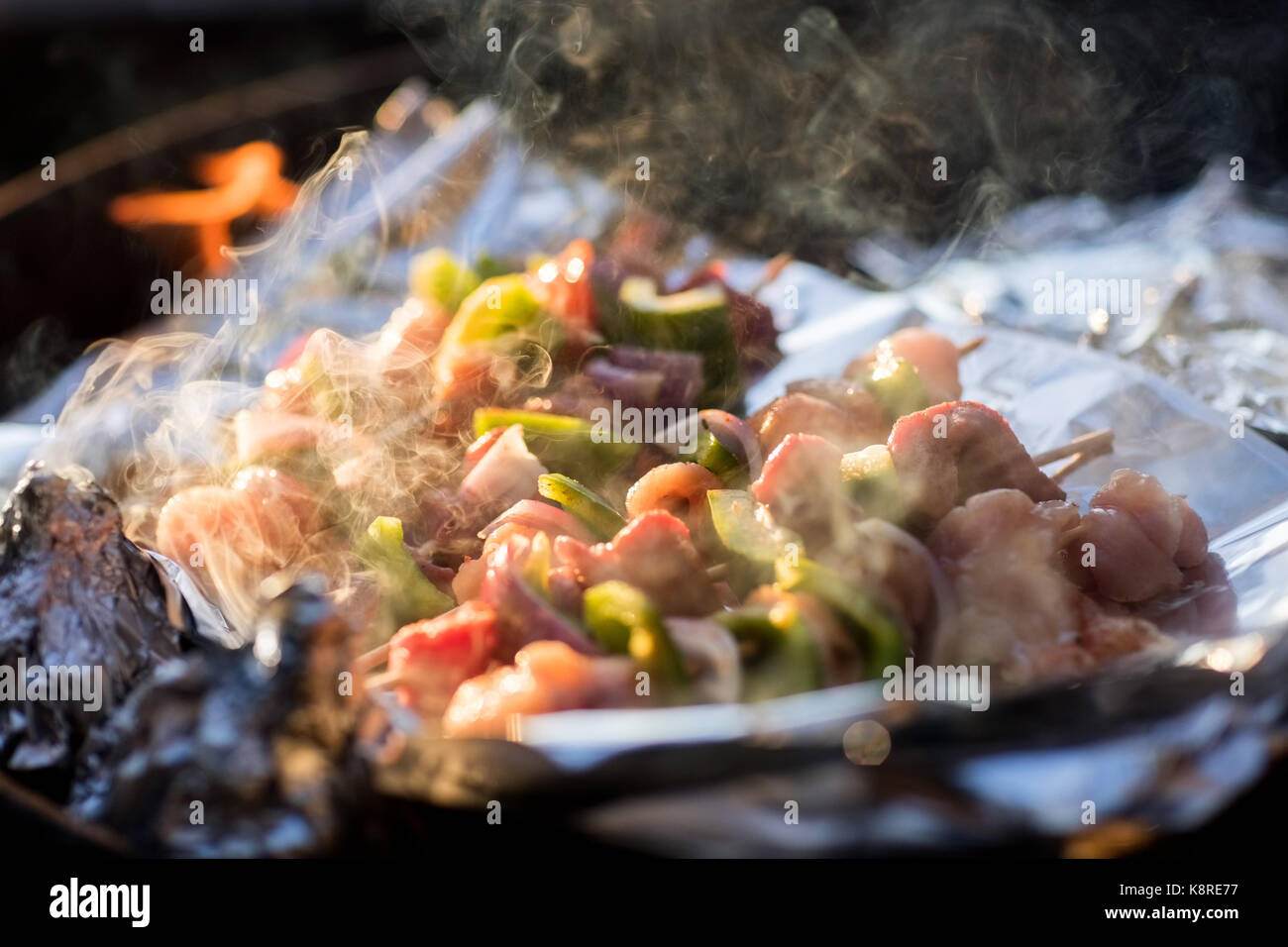 Spiedini con verdure alla griglia essendo in firepit Foto Stock