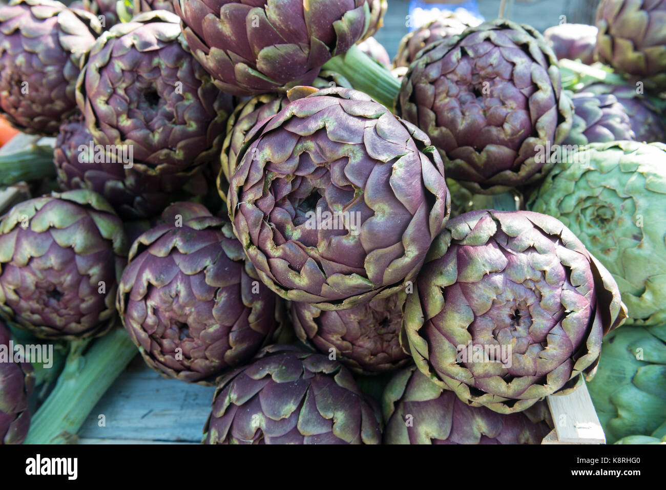 I carciofi su un mercato in stallo, Ferney Voltaire, Ain Rhône-Alpes, in Francia Foto Stock