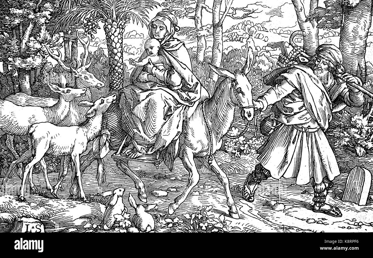 La fuga in Egitto è un evento biblico descritto nel Vangelo di Matteo, digitale Riproduzione migliorata di una xilografia, pubblicata nel XIX secolo Foto Stock