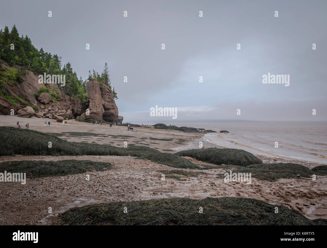I turisti in distanza a piedi sull'oceano pavimento a bassa marea, fundy national park, la baia di Fundy, New Brunswick, Canada Foto Stock