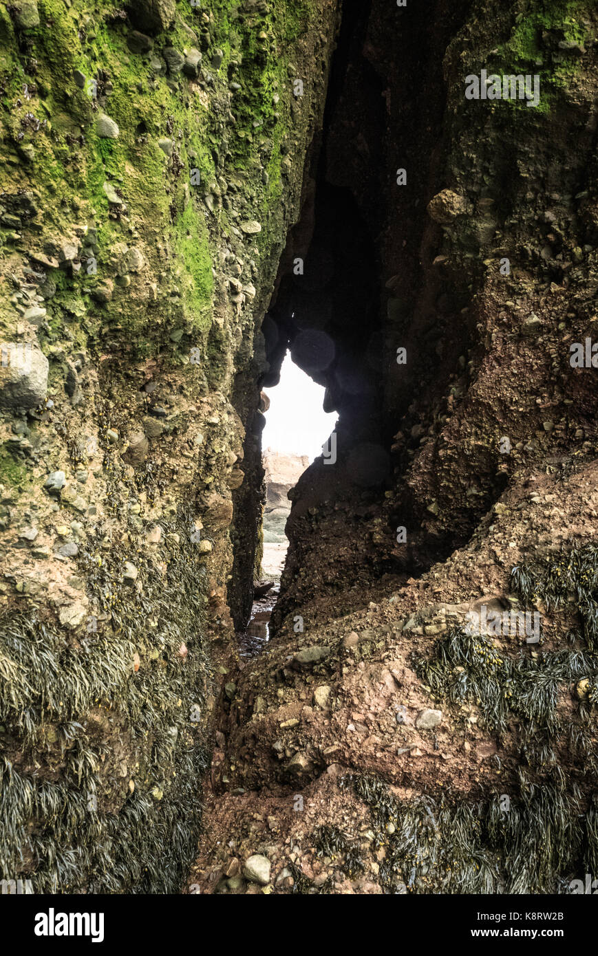 Tunnel formato da erosione della parete a strapiombo, hopewell rocks, fundy national park, la baia di Fundy, Canada Foto Stock