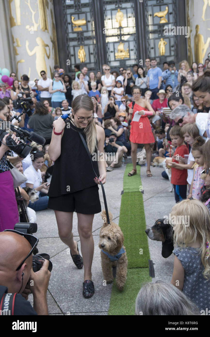 Gli amanti degli animali nazionali di celebrare la Giornata del cane al Brooklyn Public Library con un cane fashion show sul tappeto verde. Cane nazionale giorno viene celebrato il 26 agosto ogni anno ed è stata fondata nel 2004 da Pet & Famiglia esperto di stile di vita animale e l'avvocato, Colleen Paige. Foto Stock