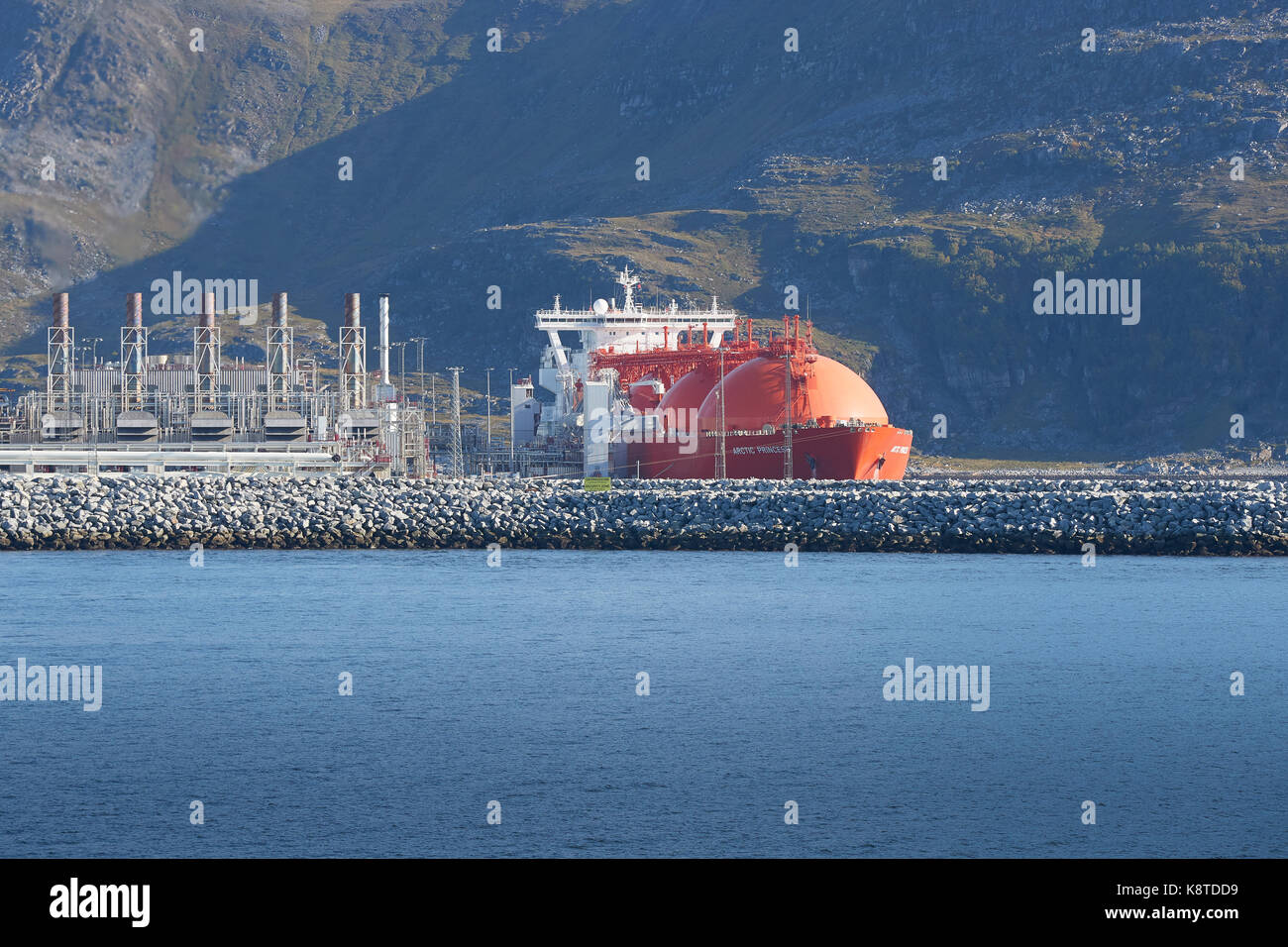 Il gas naturale liquido impianto di produzione su Melkøya Isola, Hammerfest, Norvegia con la nave da trasporto LNG, Arctic Princess Ormeggiato accanto a. Foto Stock