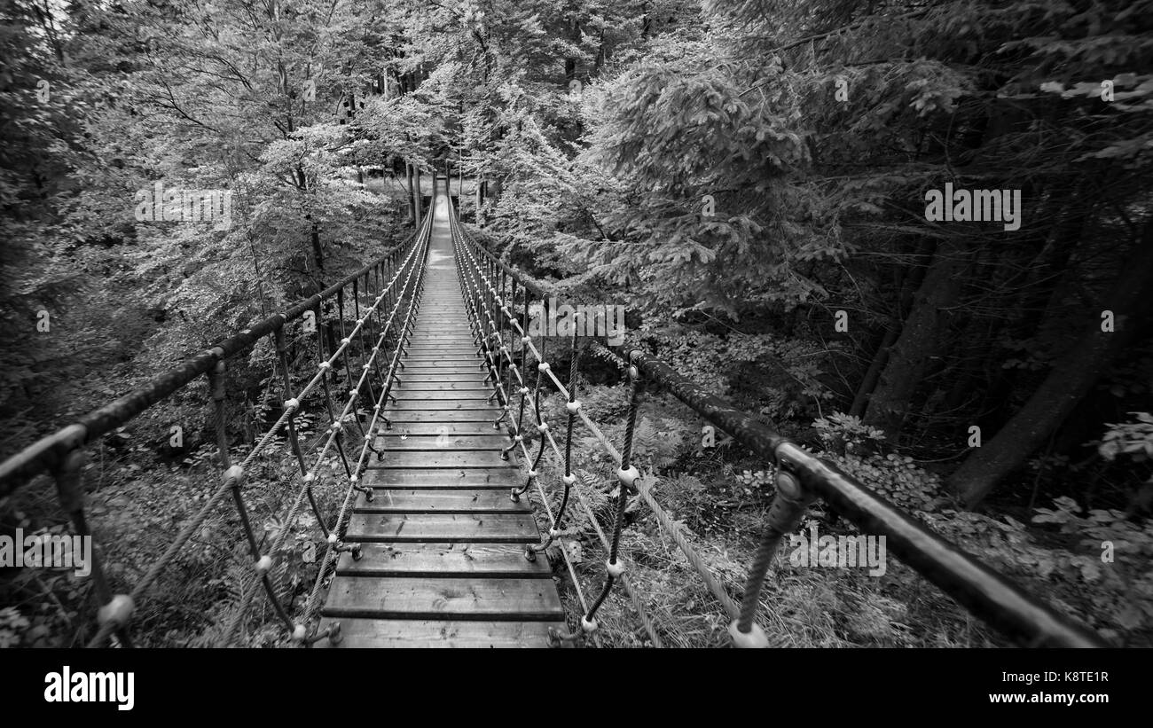 Ponte strallato nella foresta Foto Stock