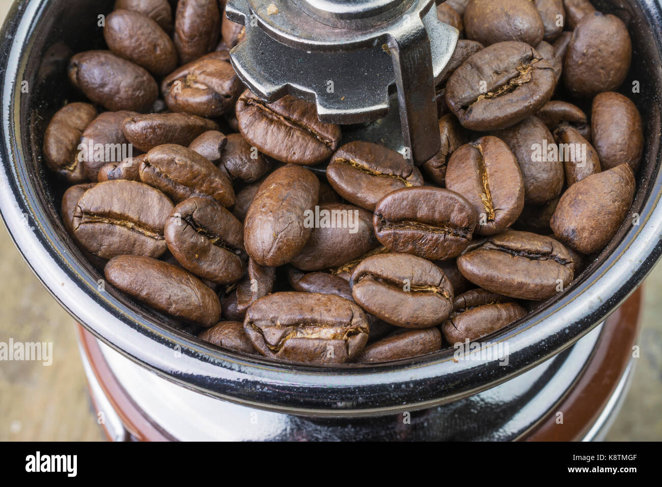 Chicchi di caffè arabica tostati di media qualità in un macinacaffè manuale Foto Stock