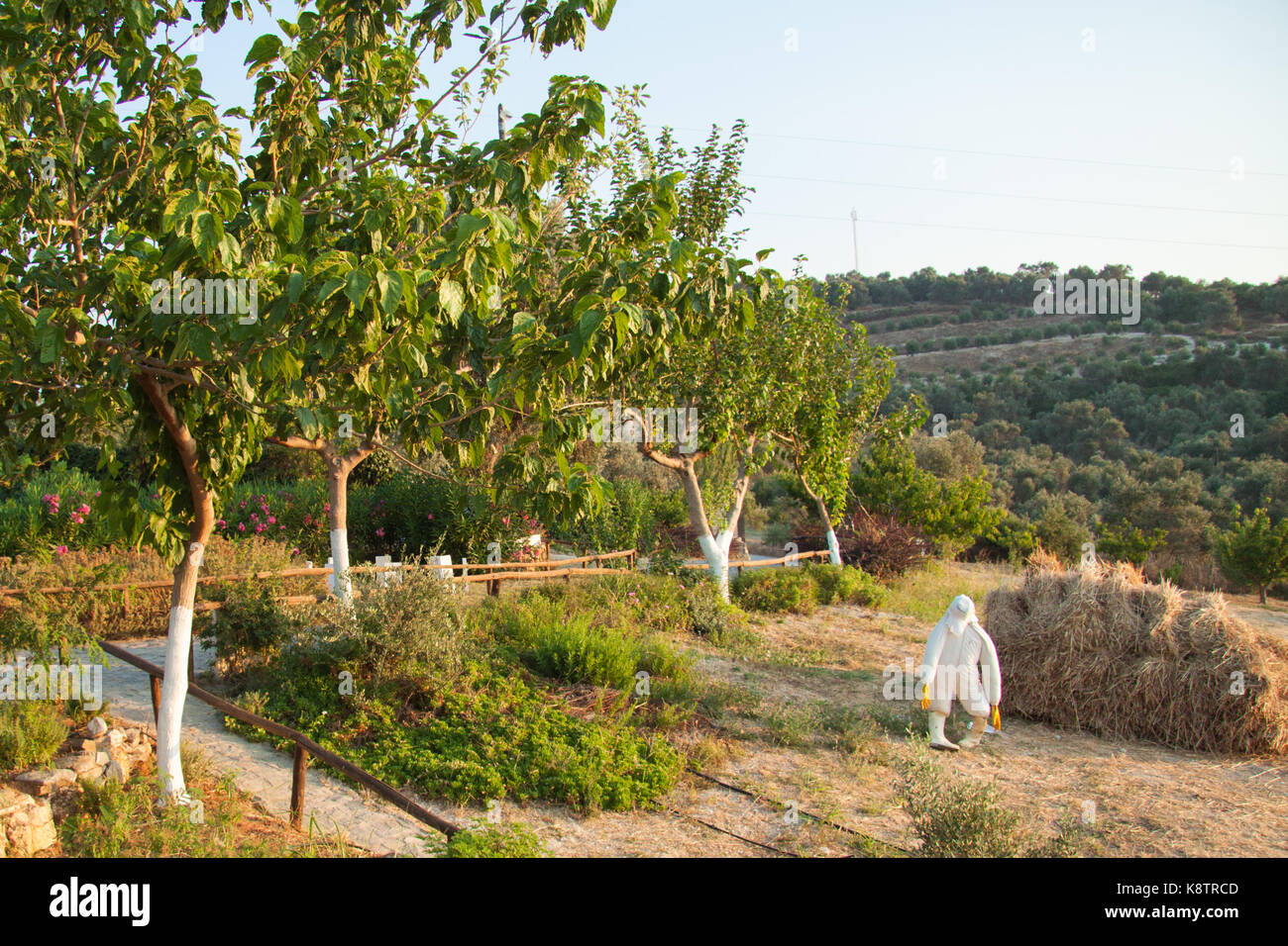 Lonely spaventapasseri a guardare oltre le haystacks nel giardino con alcuni alberi da frutta. RETHIMNO, CRETA, Grecia Foto Stock