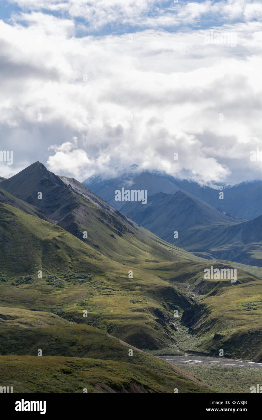 Bassa vegetazione verde copre le colline di una valle vicino il Parco Denali road. Foto Stock