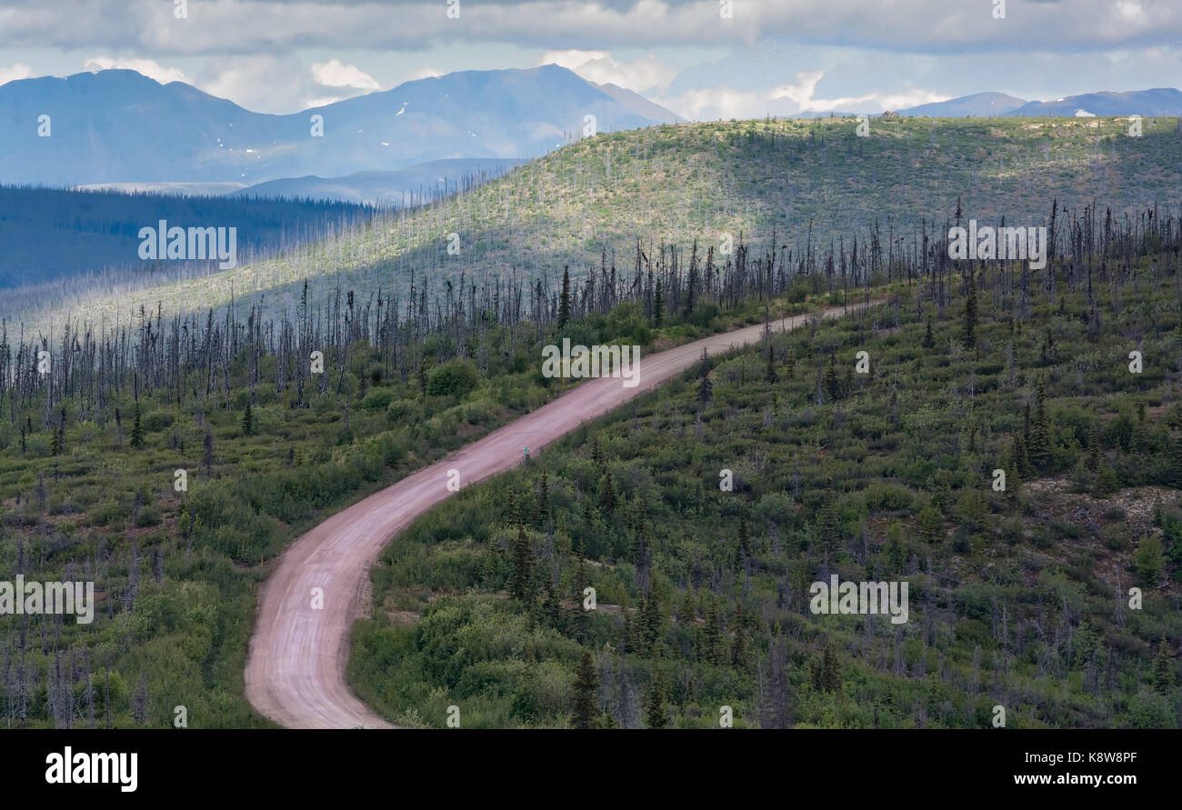 Una strada sterrata taglia attraverso il tiaga in salita verso il nome vallata a nord di Fairbanks Alaska. Foto Stock