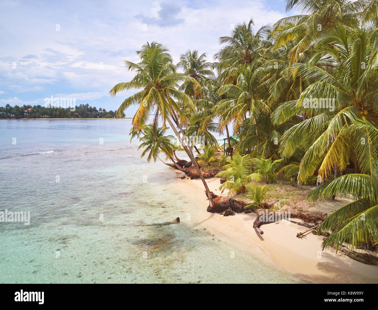 Le palme sulla spiaggia caraibica in Nicaragua. Pearl Beach Island Foto Stock