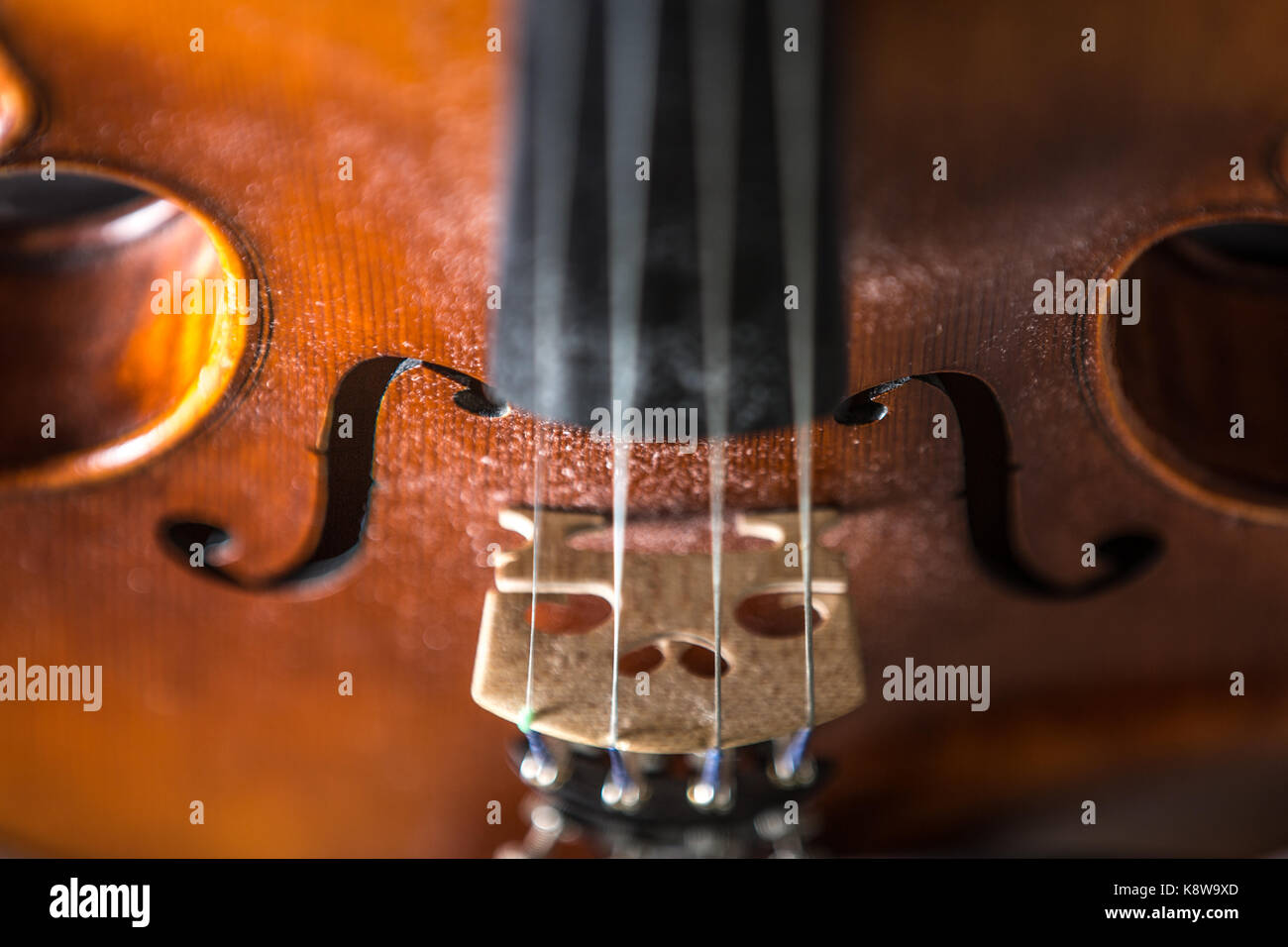 Closeup violino Foto Stock