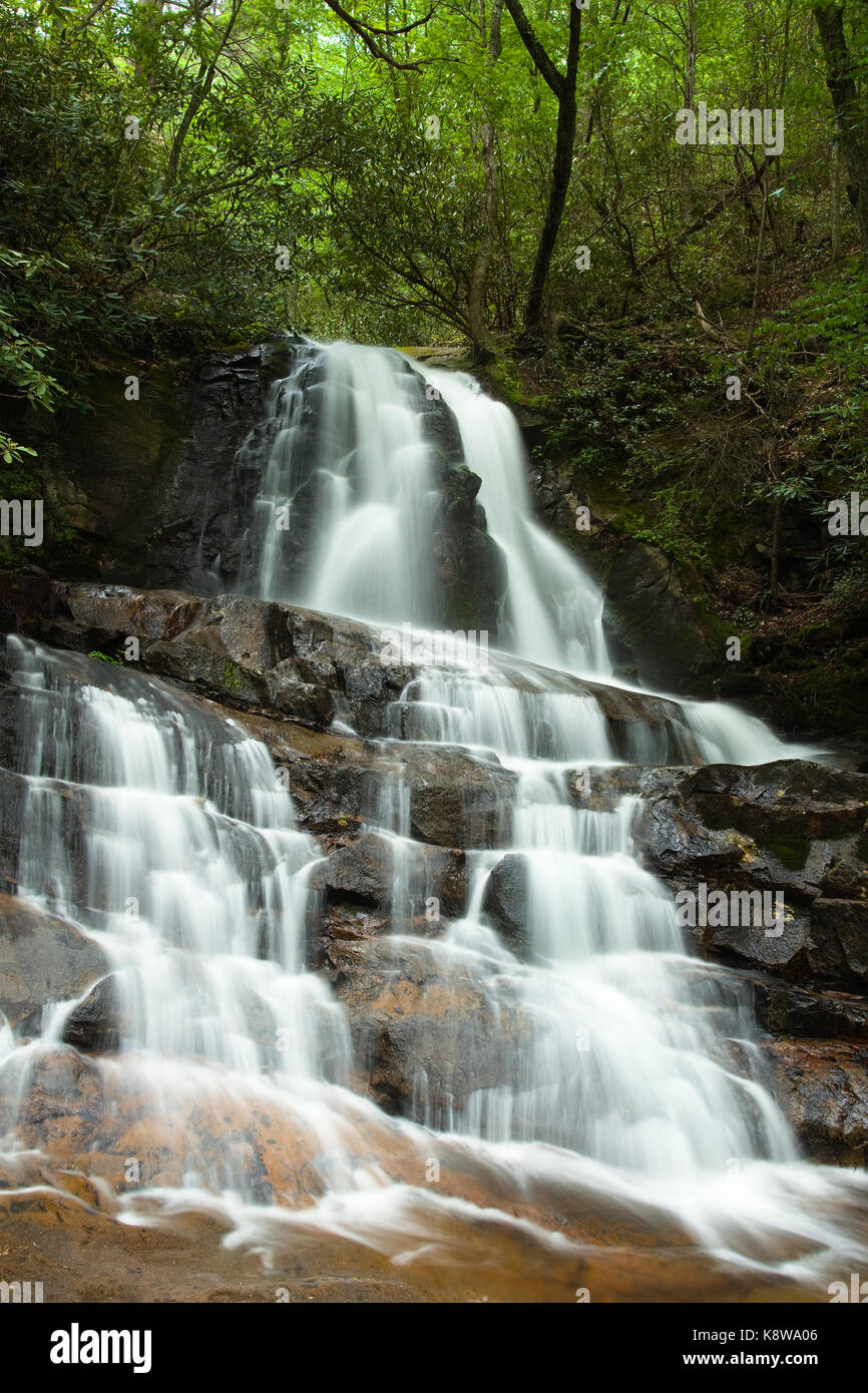 Laurel falls, una delle pittoresche cascate nel Great Smoky Mountain National Park, a primavera. Foto Stock