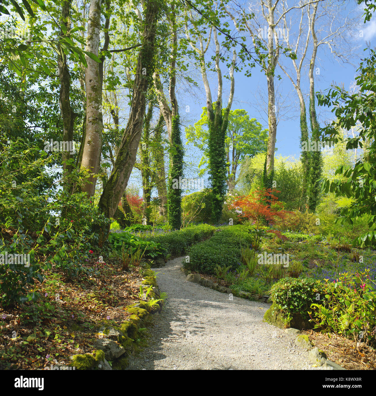 Plas Cadnant Gardens, Menai Bridge, Anglesey, Galles del Nord, Foto Stock