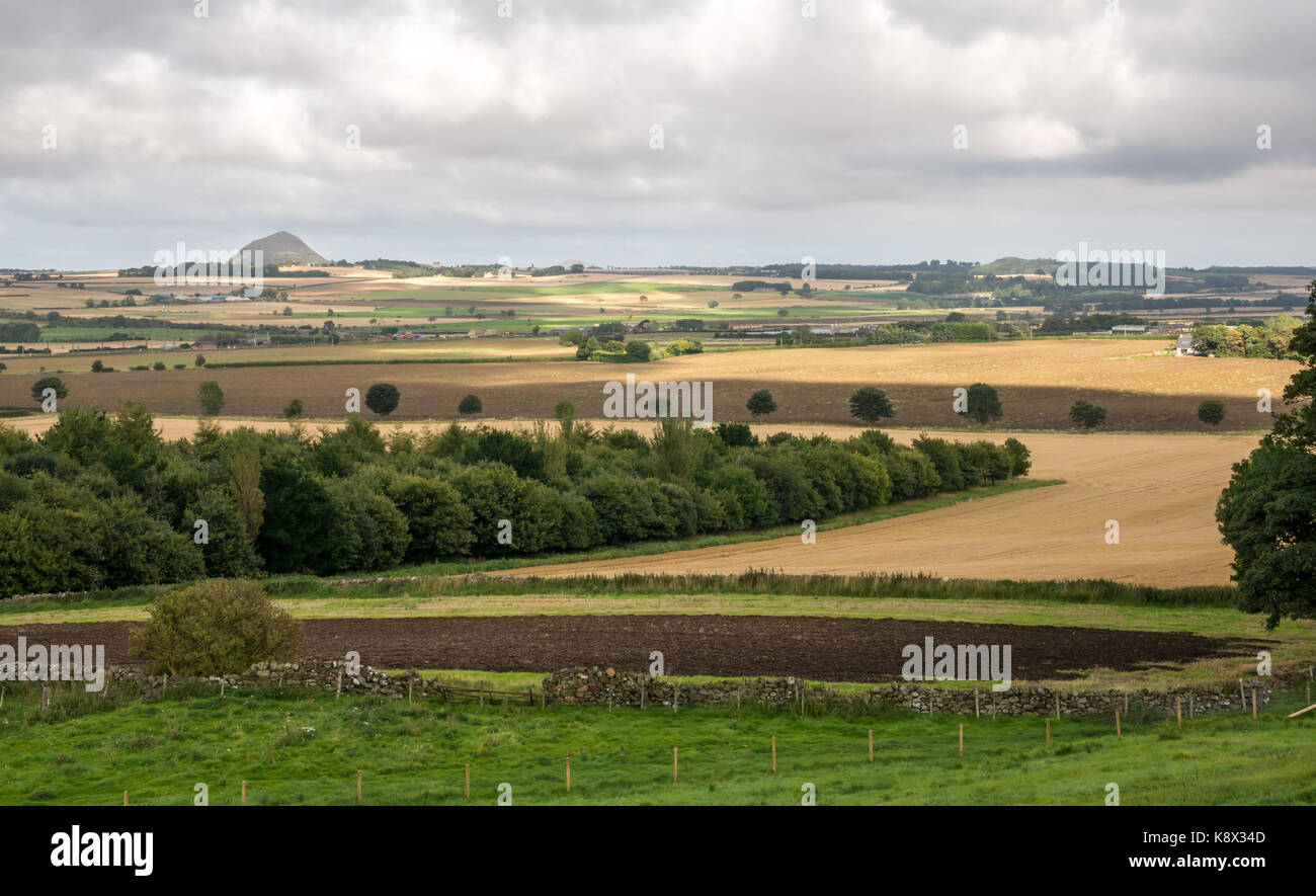 Vista attraverso i campi coltivati coltivati a aratura verso Berwick Law in the Distance, East Lothian, Scotland, UK Foto Stock