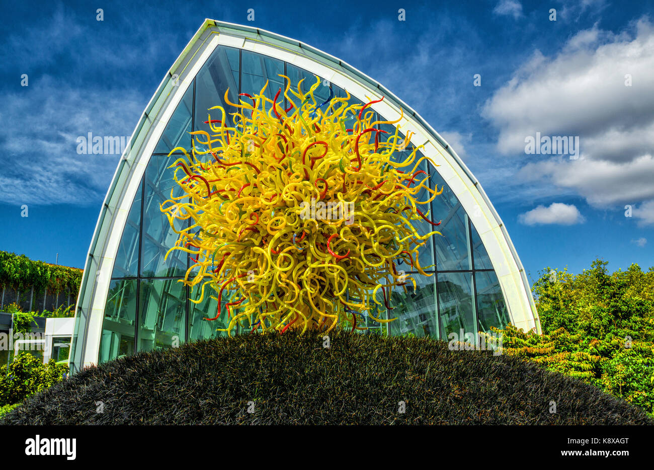 Casa di vetro e scultura chihuly museo del vetro presso il centro di Seattle e lo Space Needle e il Seattle, Washington. Foto Stock