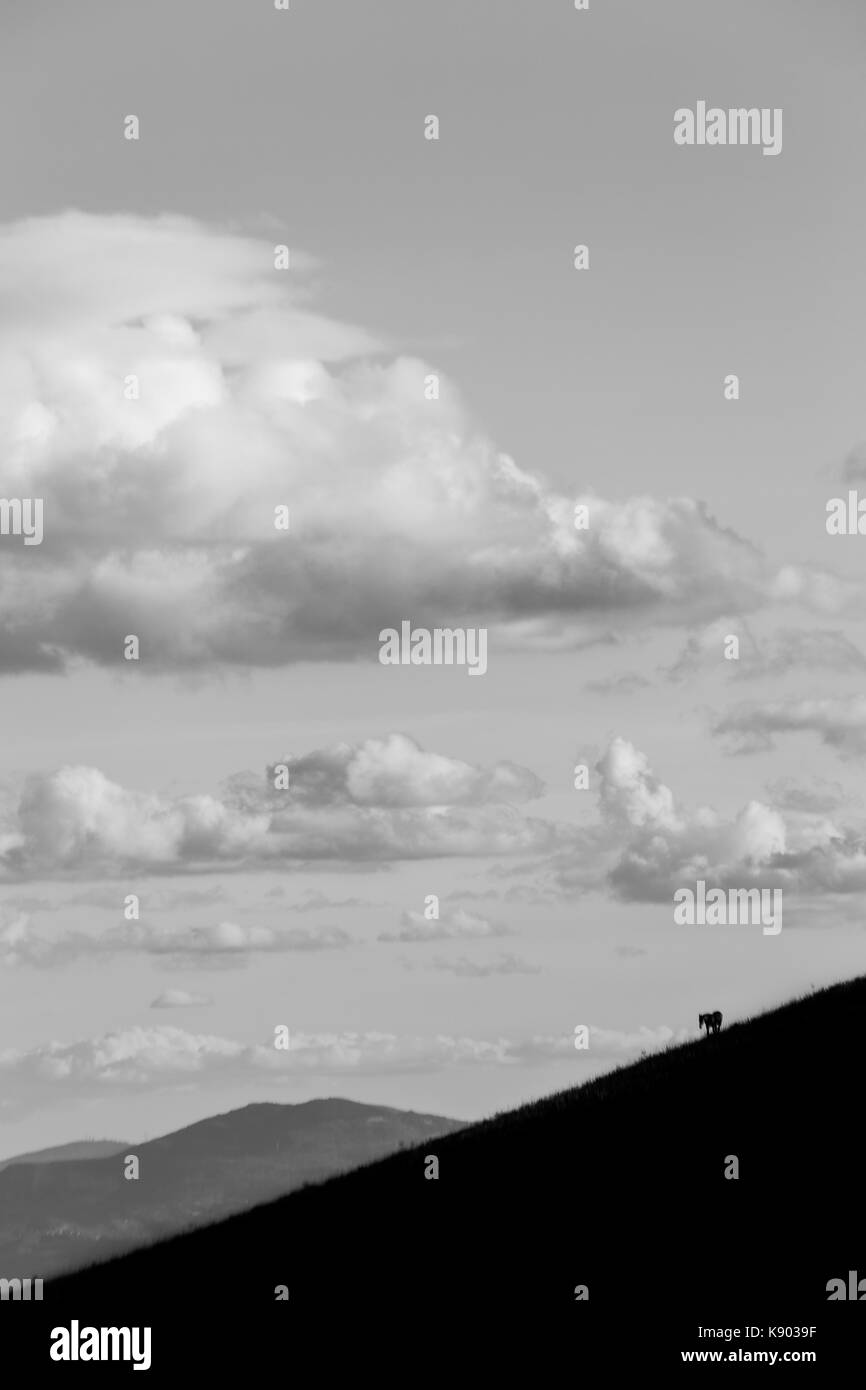 Un minuscolo cavallo figura sul lato di una montagna, sotto un cielo profondo Foto Stock