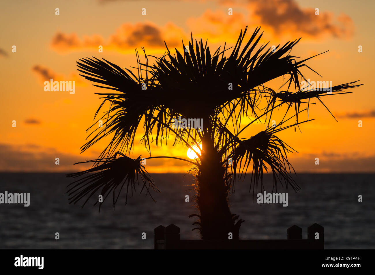 Un impianto di stagliano visualizzare lungo Aberystwyth promenade al tramonto. © Ian Jones/Alamy Live News. Foto Stock