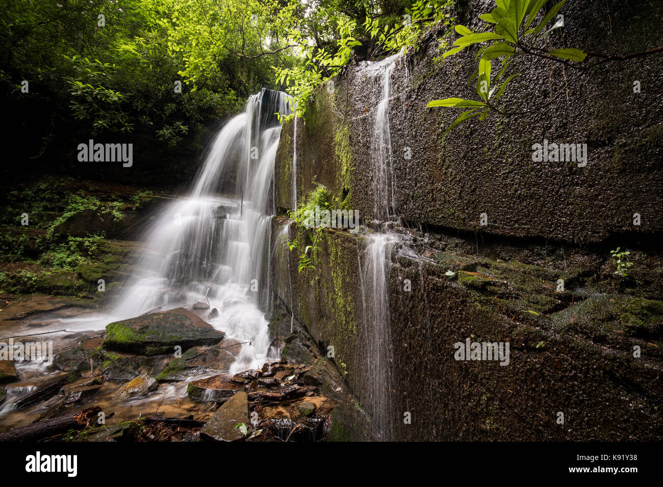 Bad ramo ha le sue sorgenti sul lato nord della montagna Oakey, appena dietro l'angolo da Crow Creek. Entrambi i flussi vuota nel vicino lago di seme. Le cascate sono essi stessi situato in una baia isolata e sono in ombra la gran parte della giornata. Essi sono di circa 17 m. alto e sono meglio visualizzati quando il flusso di acqua è da moderato a elevato. Durante i mesi secchi possono diventare un mero trickle. Foto Stock