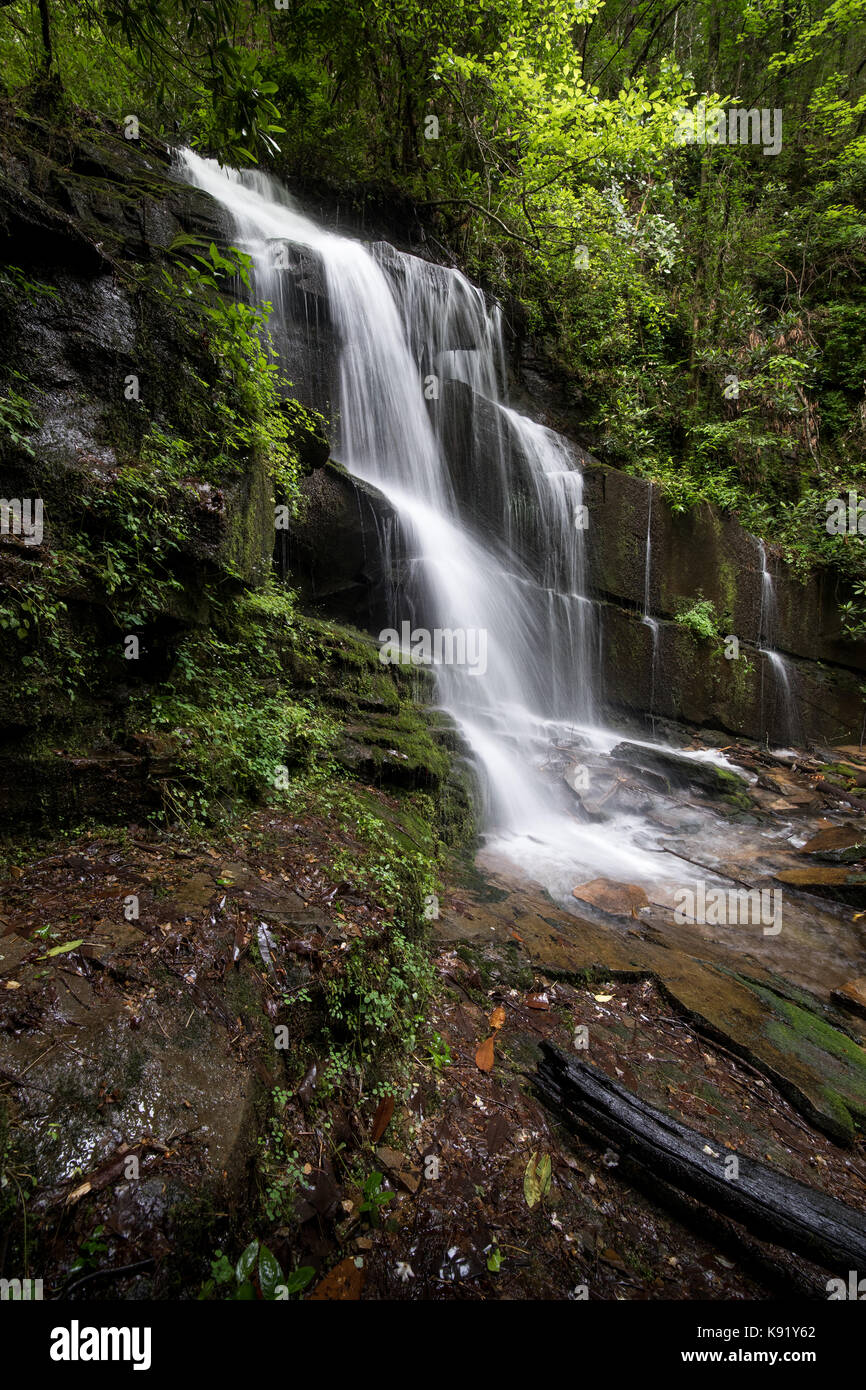 Bad ramo ha le sue sorgenti sul lato nord della montagna Oakey, appena dietro l'angolo da Crow Creek. Entrambi i flussi vuota nel vicino lago di seme. Le cascate sono essi stessi situato in una baia isolata e sono in ombra la gran parte della giornata. Essi sono di circa 17 m. alto e sono meglio visualizzati quando il flusso di acqua è da moderato a elevato. Durante i mesi secchi possono diventare un mero trickle. Foto Stock