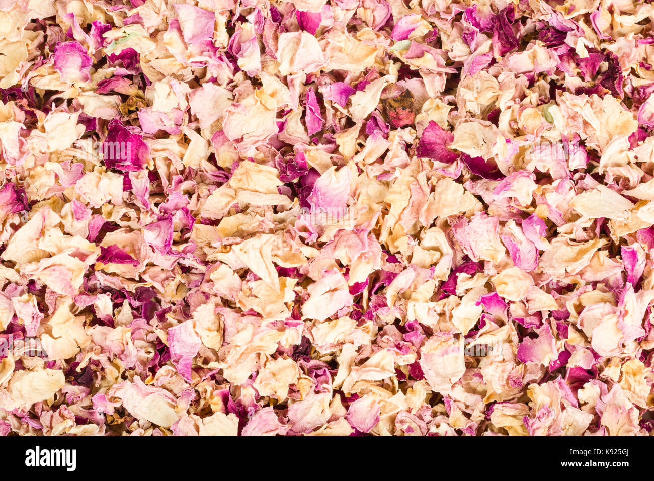 Essiccati petali di rosa o sukhe gulab patti sfondo Foto Stock