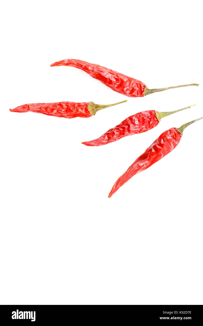 Composizione dei secchi peperoncino tailandese peperoni isolato su sfondo bianco con copyspace Foto Stock