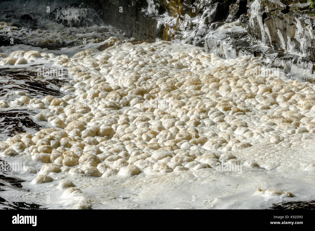 La formazione di schiuma sul Fiume Tees Foto Stock