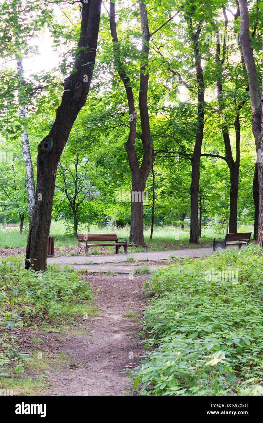 Percorso con banco in un tranquillo parco di estate. sfondo, natura. Foto Stock