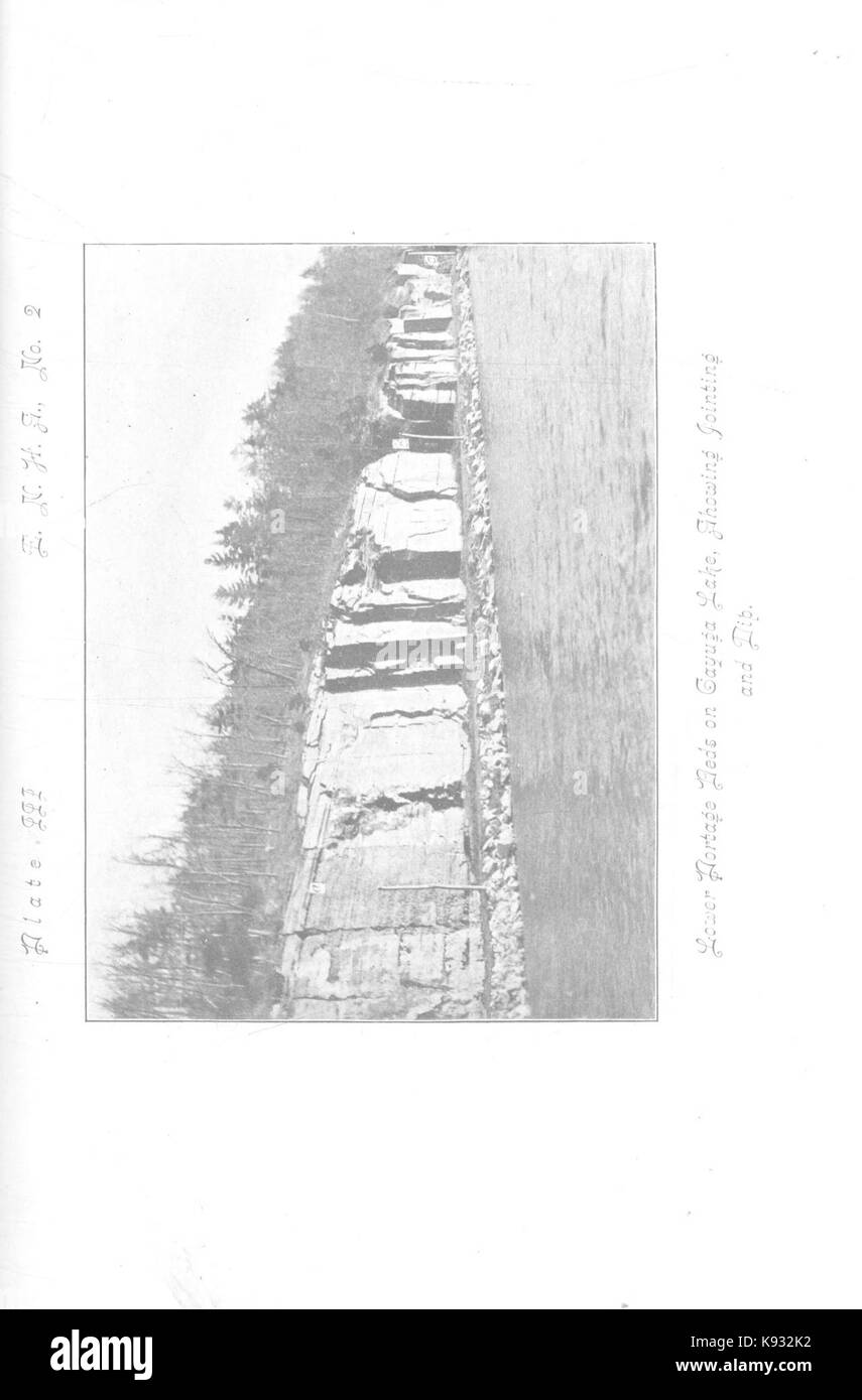 La chiave del Devoniano Superiore del sud di New York (piastra pagina iii) BHL42419739 Foto Stock