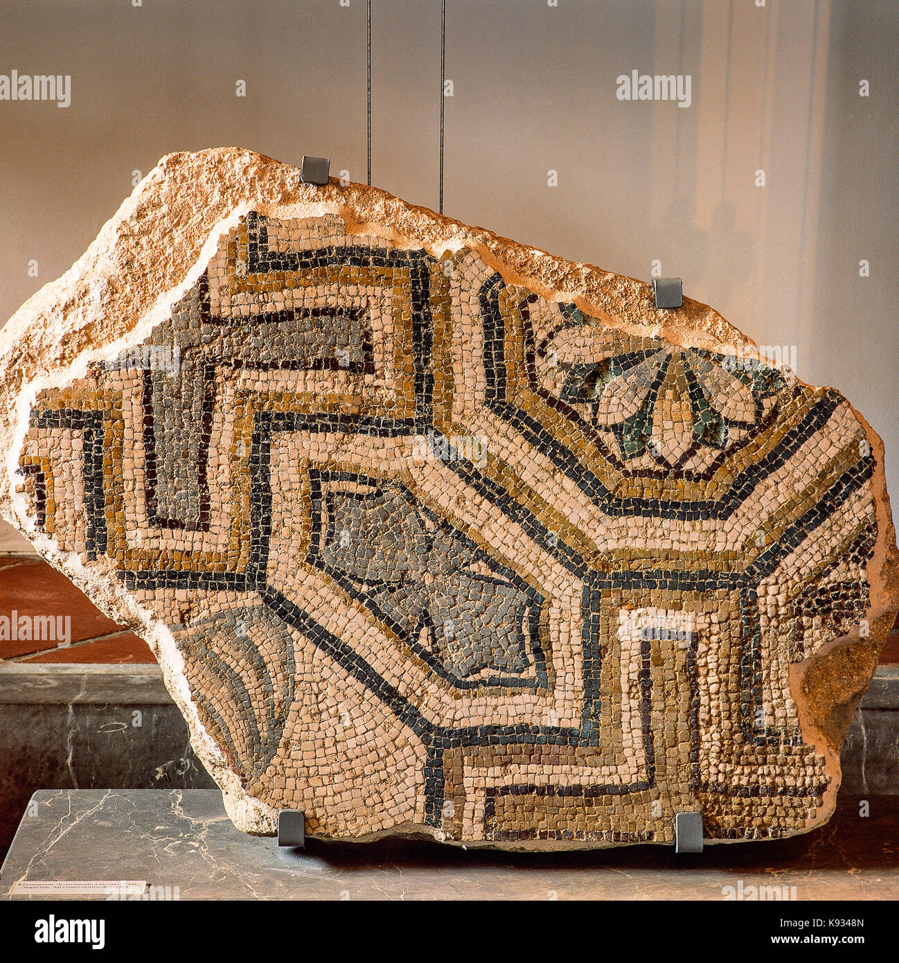 Italia Abruzzo vasto Museo archeologico di Palazzo D'Avalos - frammento di pavimento in età imperiale del centro storico di vasto Foto Stock