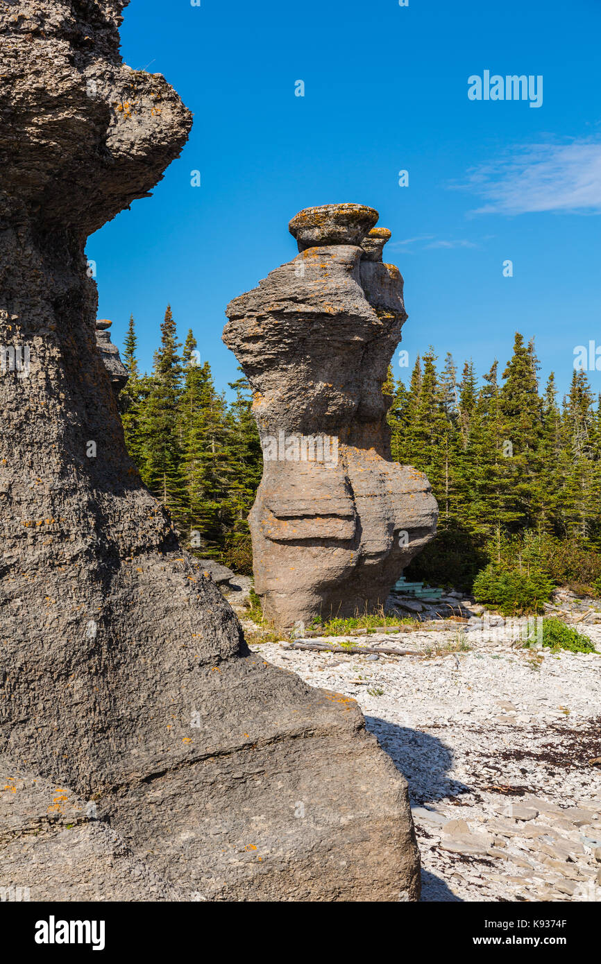 Sea-monoliti scolpiti sulla isola niapiskau, Canada Foto Stock