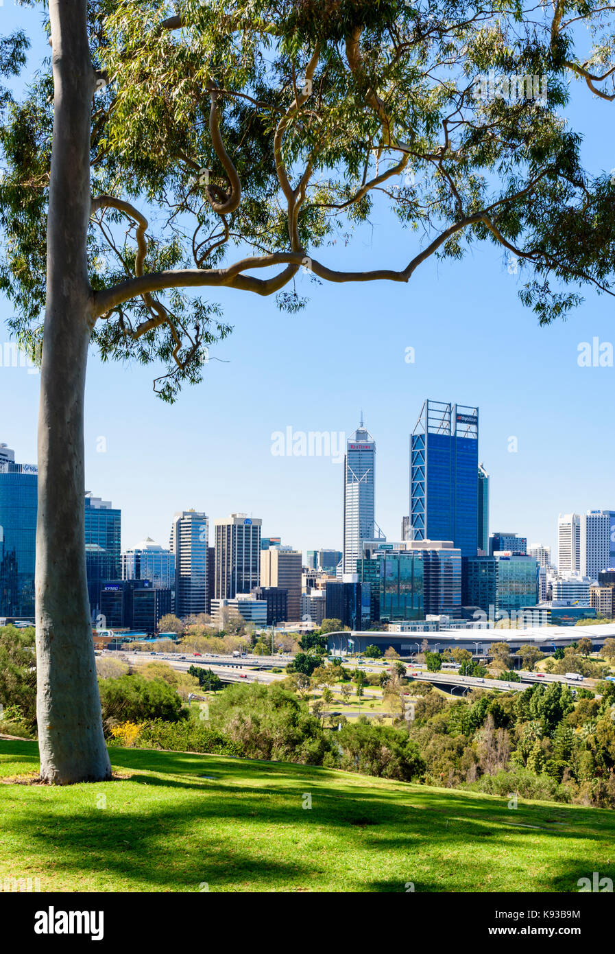Struttura vista incorniciata della città di Perth CBD da Kings Park, Australia occidentale, Australia Foto Stock