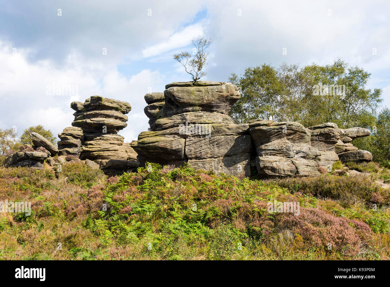 Bilanciamento del belle formazioni rocciose a Brimham rocce vicino ponte Pateley North Yorkshire England Regno Unito Regno Unito Foto Stock