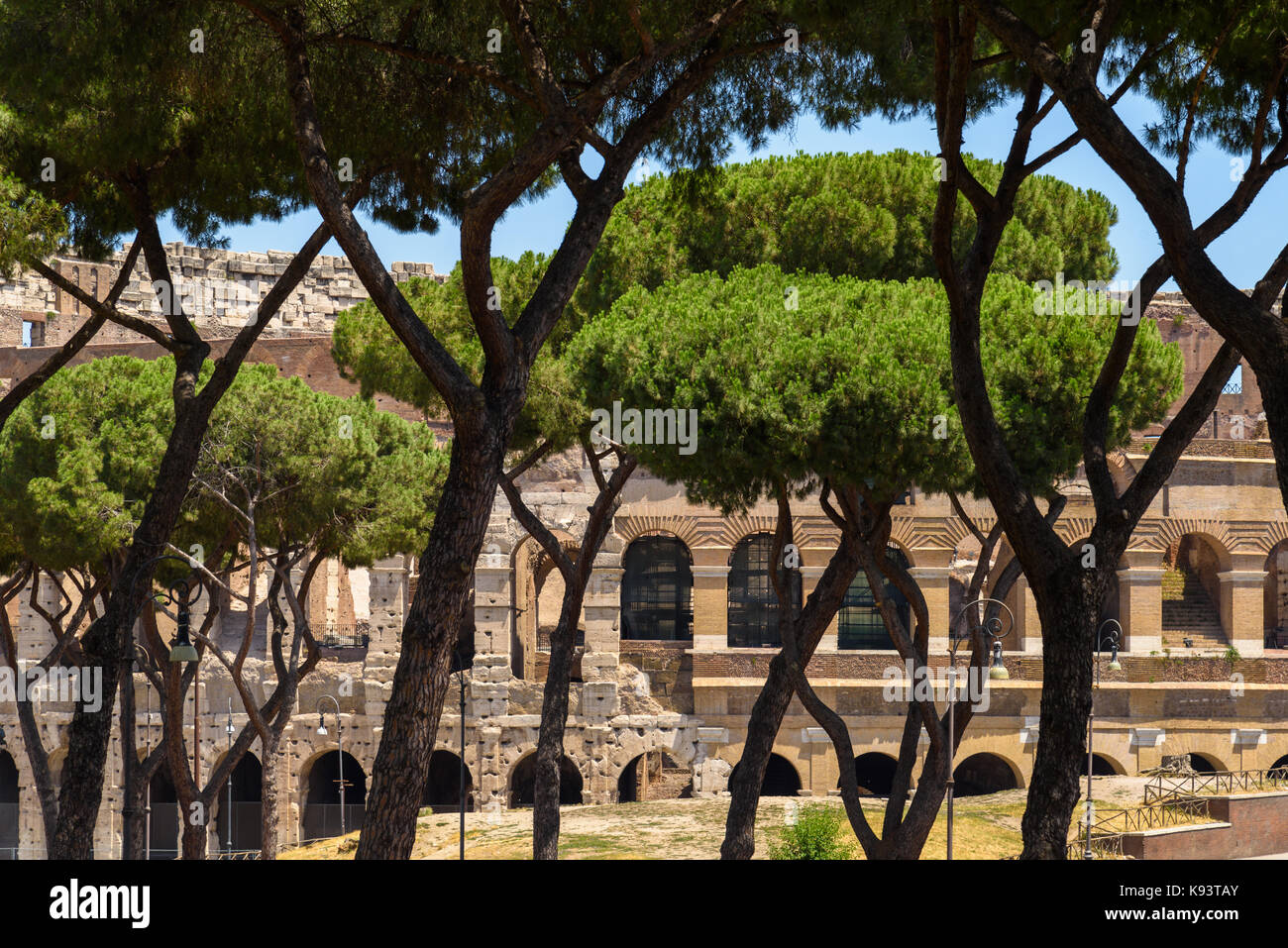 Vista degli archi del Colosseo attraverso gli alberi di pino, Roma, Italia Foto Stock