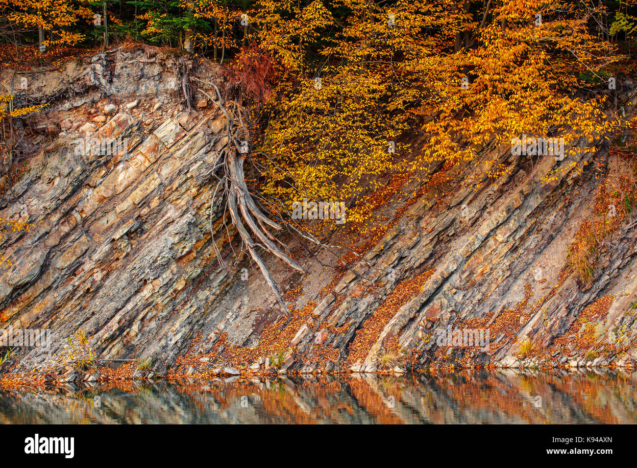 Bella ruscello di montagna e costa rocciosa nella foresta di autunno. ardesia rock Foto Stock
