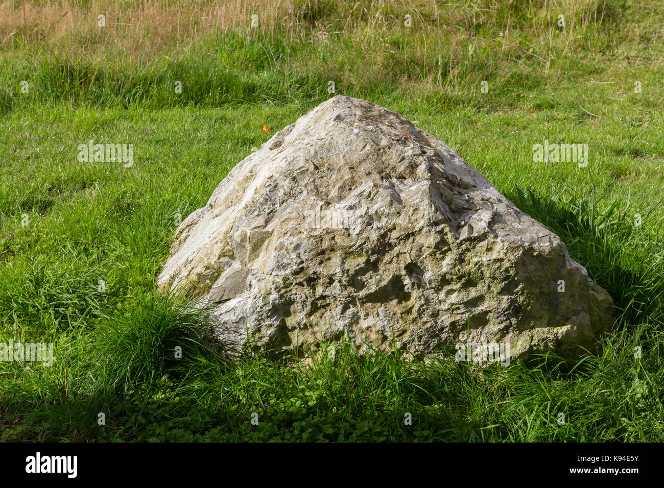 Una grande roccia, boulder, sul bordo di un campo Foto Stock