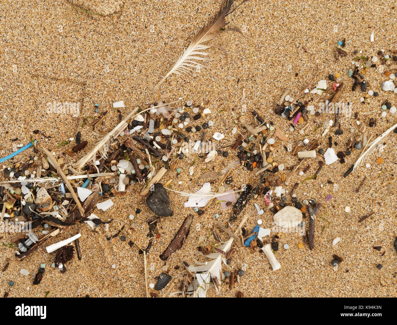 Spiagge e piscine di roccia inquinati con plastica rifiuti micro lavato in su la marea. 21st, settembre, 2017 Robert taylor/alamy live news. newquay, Foto Stock