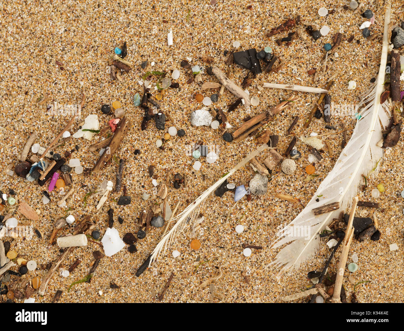 Spiagge e piscine di roccia inquinati con plastica rifiuti micro lavato in su la marea. 21st, settembre, 2017 Robert taylor/alamy live news. newquay, Foto Stock