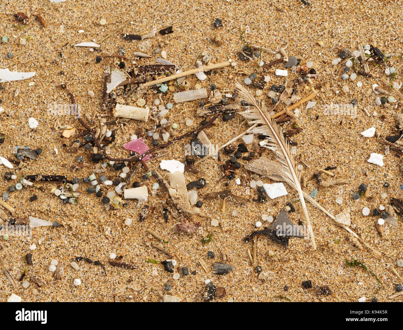 Spiagge e piscine di roccia inquinati con plastica rifiuti micro lavato in su la marea. 21st, settembre, 2017 Robert taylor/alamy live news. newquay, Foto Stock