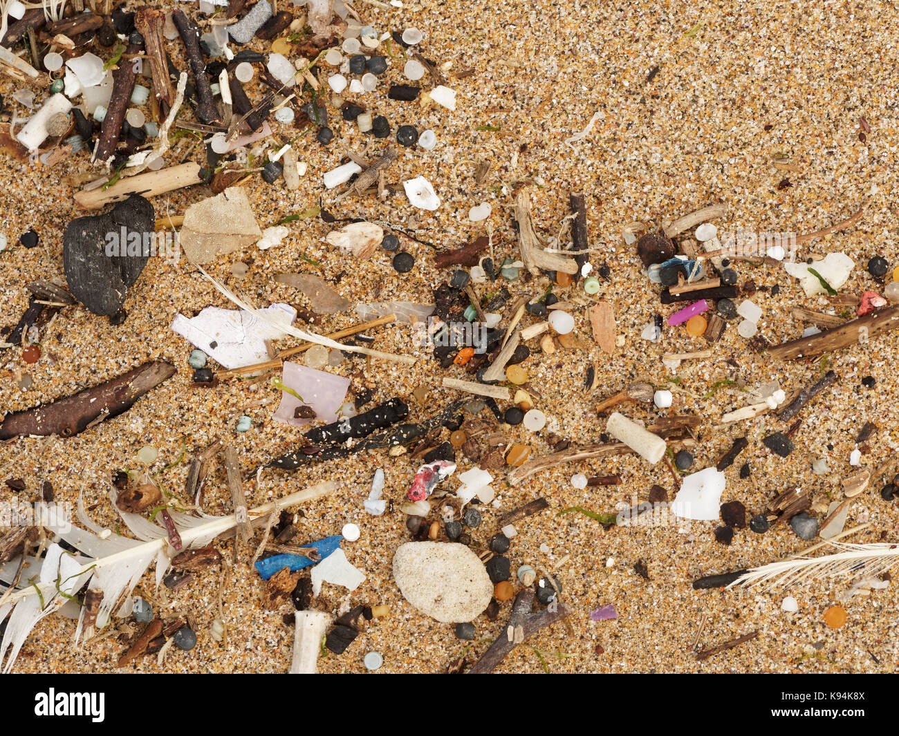 Spiagge e piscine di roccia inquinati con plastica rifiuti micro lavato in su la marea. 21st, settembre, 2017 Robert taylor/alamy live news. newquay, Foto Stock