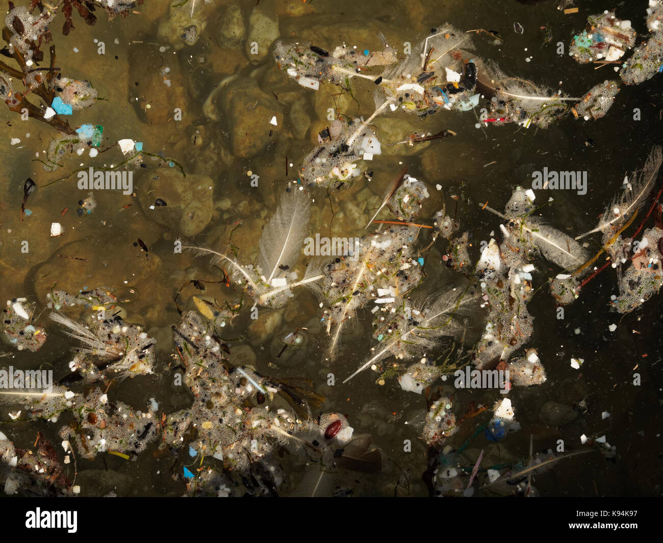 Spiagge e piscine di roccia inquinati con plastica rifiuti micro lavato in su la marea. 21st, settembre, 2017 Robert taylor/alamy live news. newquay, Foto Stock