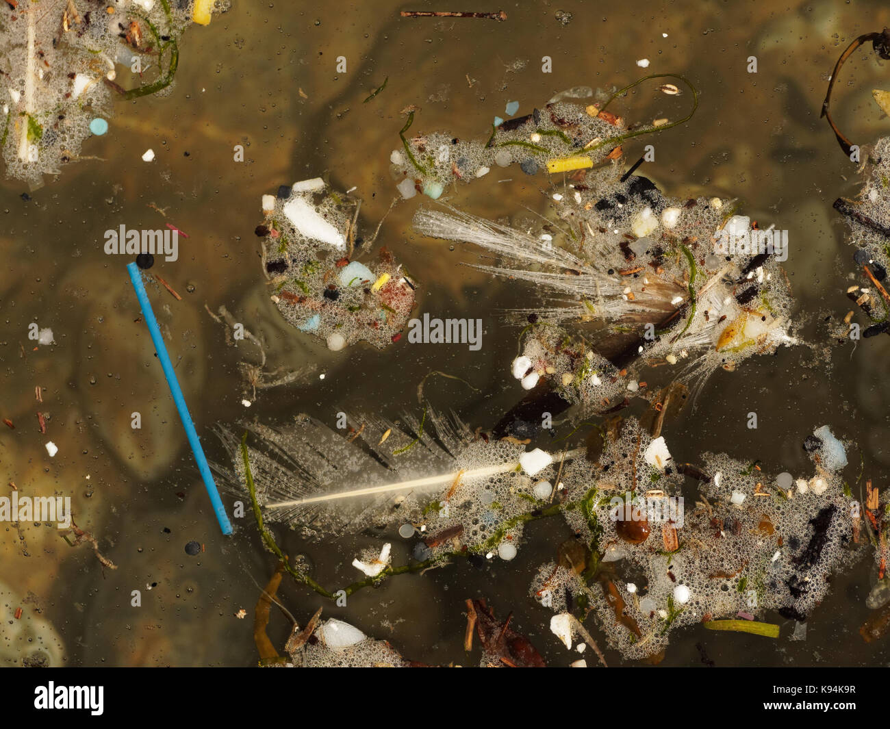 Spiagge e piscine di roccia inquinati con plastica rifiuti micro lavato in su la marea. 21st, settembre, 2017 Robert taylor/alamy live news. newquay, Foto Stock