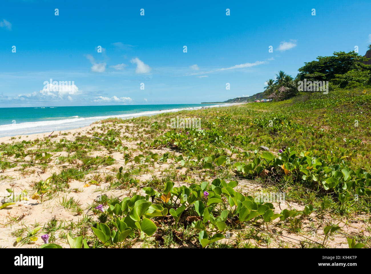 Spiaggia di Taipe, Arraial d'ajuda, Porto Seguro, Bahia, Brasile Foto Stock