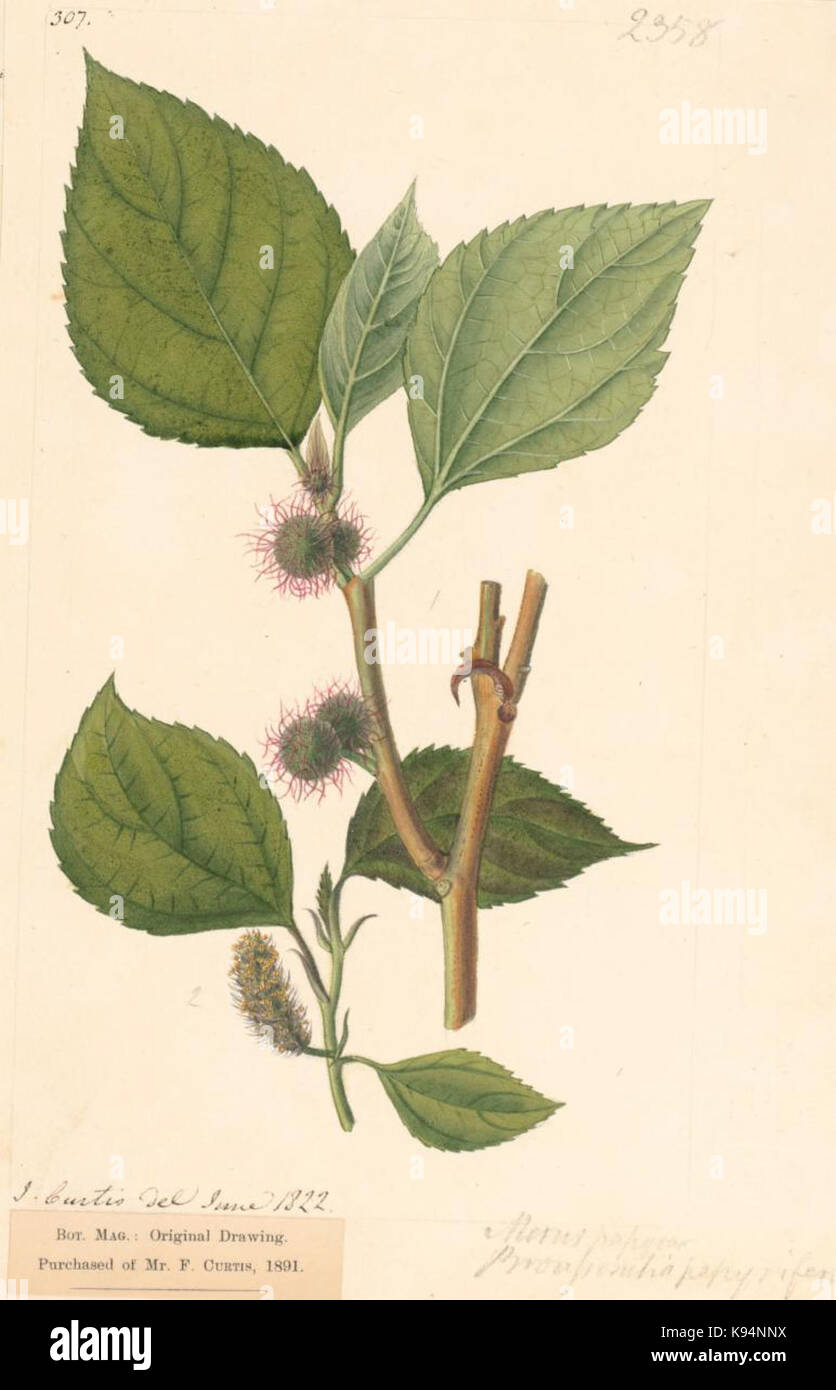 046197 KPPCONT dimensioni massime Foto Stock