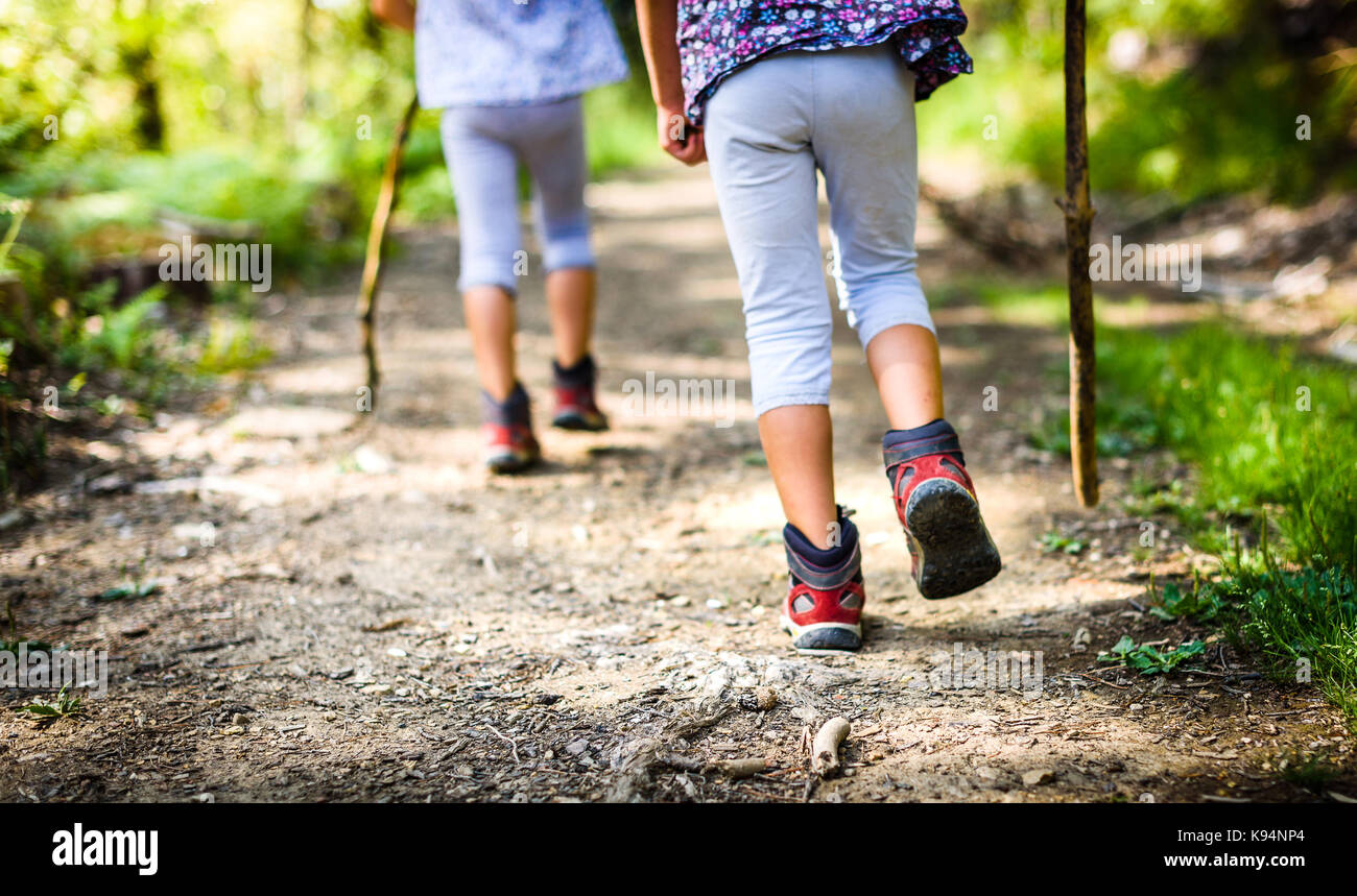 Bambini Escursioni in montagna o foresta con sport scarpe da escursionismo.  le ragazze sono a piedi attraverso una strada forestale che indossa scarponi  da montagna e bastoni. frog p Foto stock -