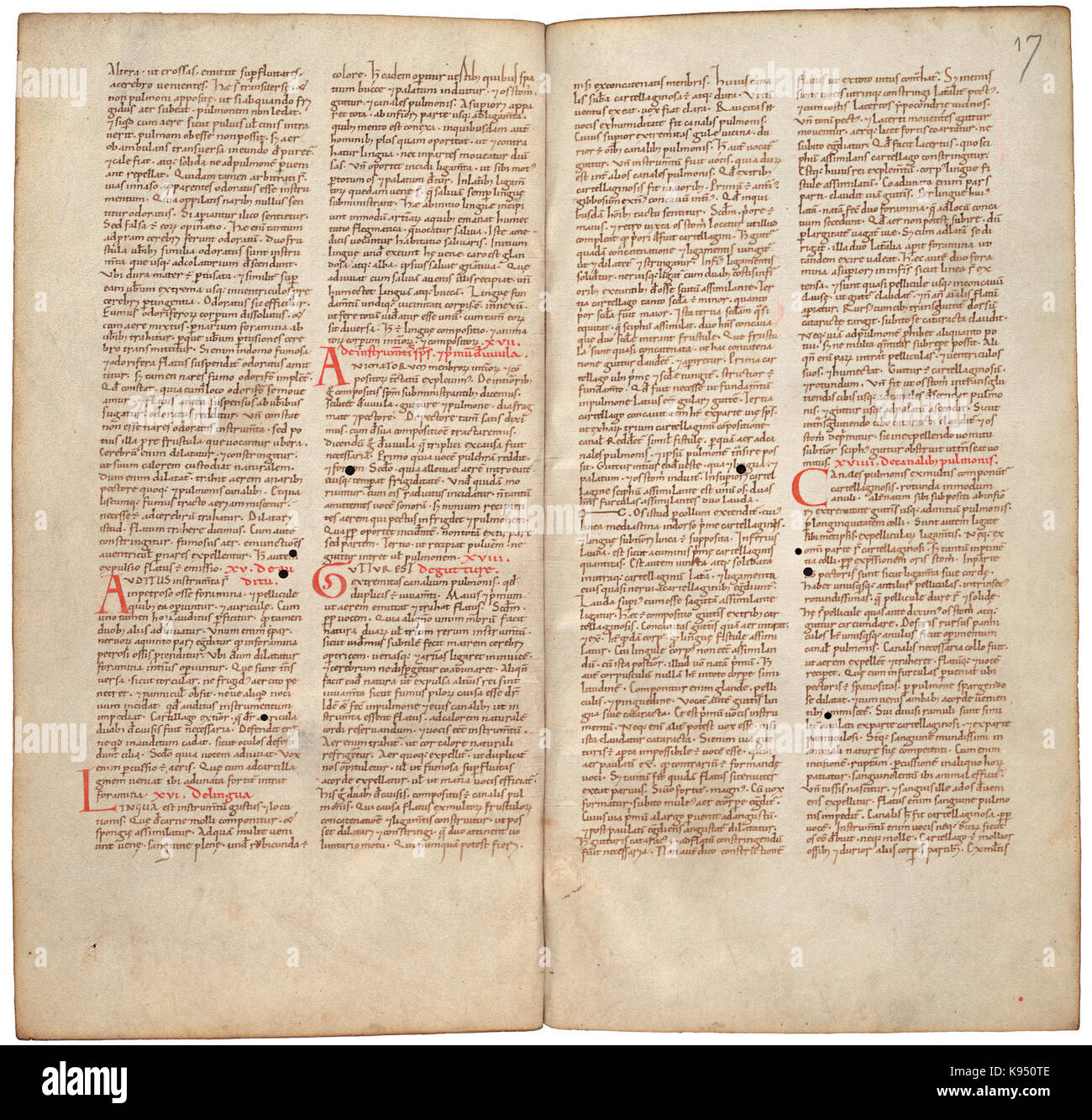 Il Liber pantegni KB 73 J 6 folio 016v (sinistra) e 017R (destra) Foto Stock