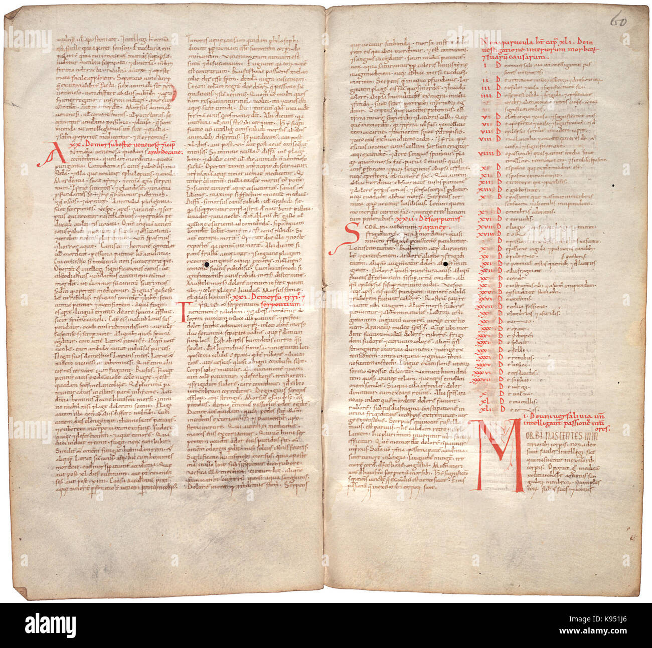Il Liber pantegni KB 73 J 6 folio 059v (sinistra) e 060R (destra) Foto Stock